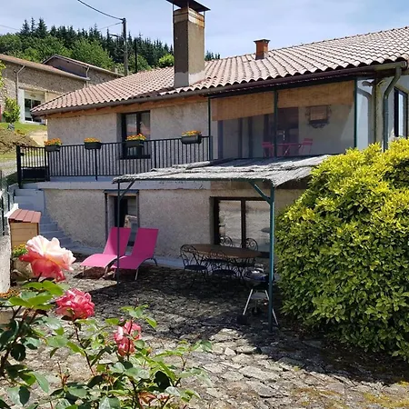 Le Tilleul Avec Cheminée, Terrasse Et Animaux Admis - Fr-1-489-470 * Laprugne